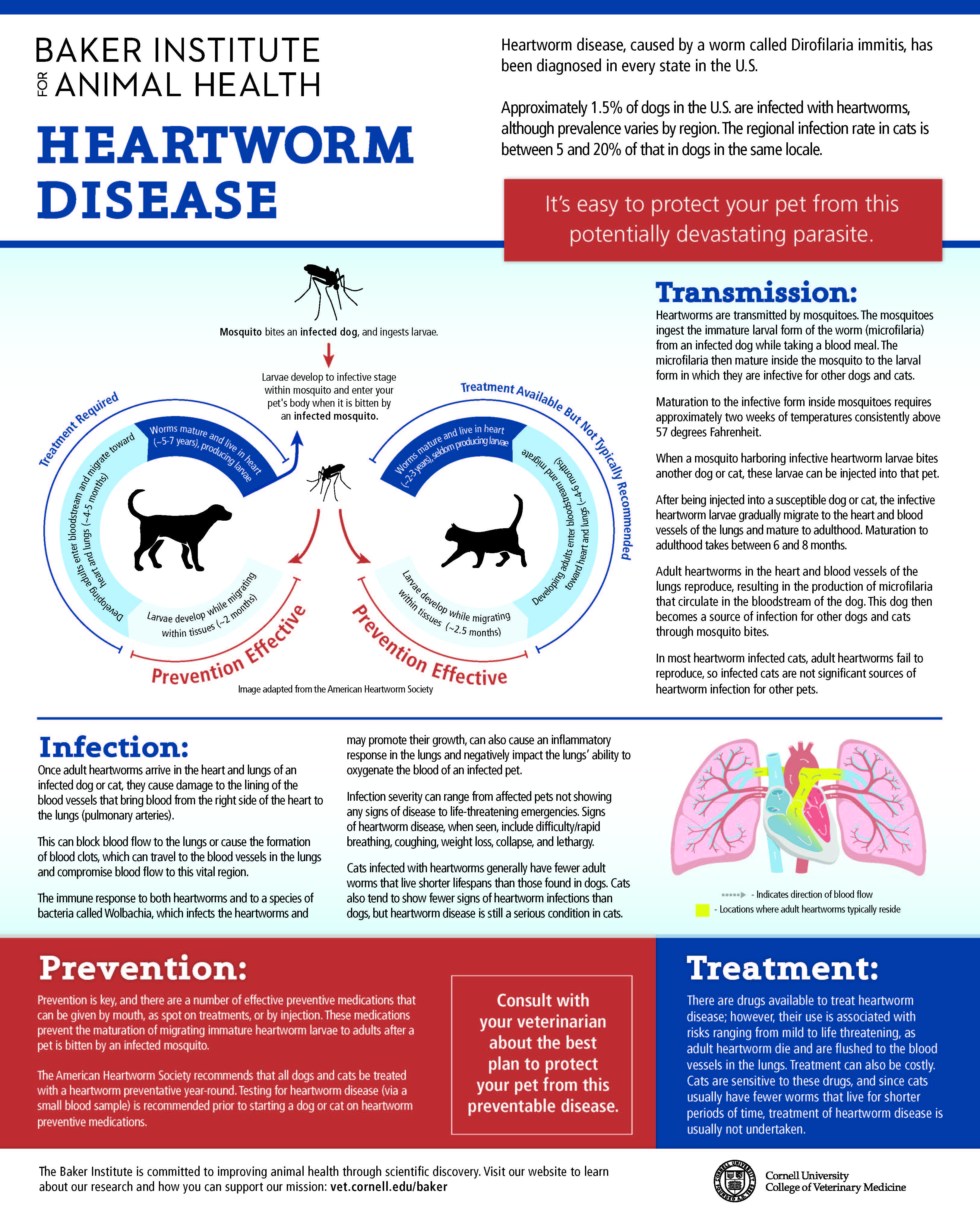 Cat heart disease treatment deals